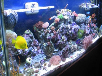 IMG_3816.jpg IMG_3816.jpg