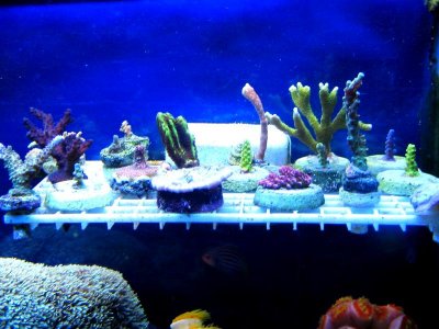 IMG_3817.jpg IMG_3817.jpg