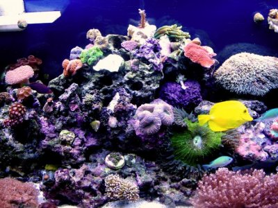 IMG_3819.jpg IMG_3819.jpg