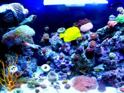 IMG_3820.jpg IMG_3820.jpg