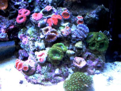 IMG_3821.jpg IMG_3821.jpg