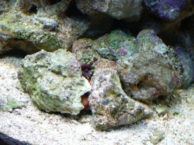 P1020651.jpg P1020651.jpg