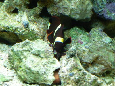 P1020652.jpg P1020652.jpg