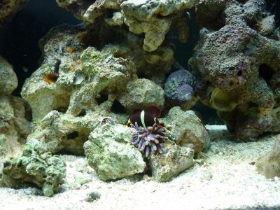 P1020655.jpg P1020655.jpg