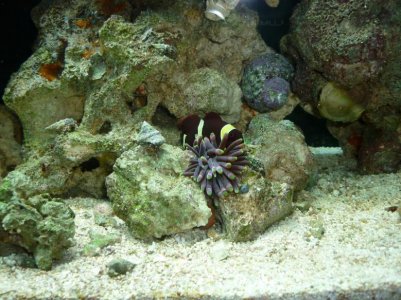 P1020657.jpg P1020657.jpg