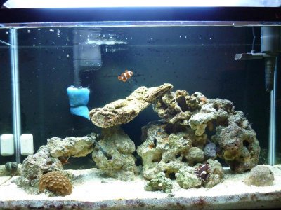 P1020659.jpg P1020659.jpg