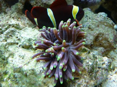 P1020660.jpg P1020660.jpg