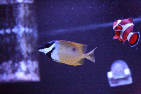 IMG_1584.jpg