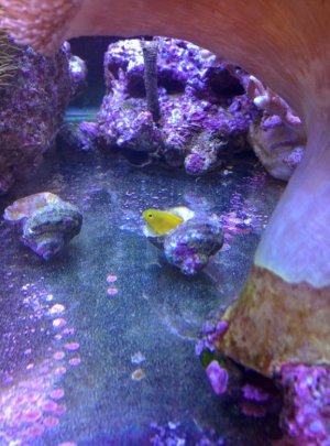 IMG_20150124_120502 - Resize.jpg