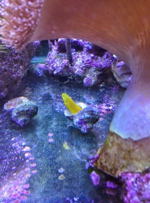 IMG_20150124_120459 - Resize.jpg