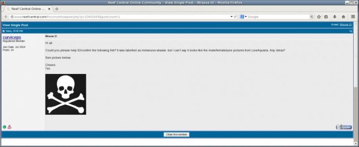 Screenshot-Reef Central Online Community - View Single Post - Wrasse ID - Mozilla Firefox.jpg