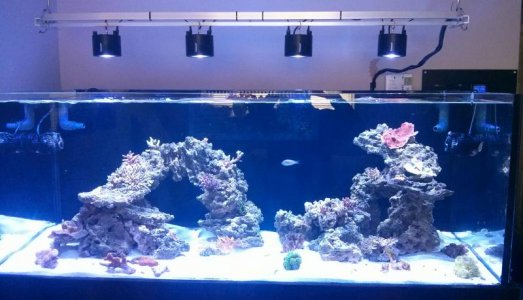 IMG_20150122_142718~2.jpg IMG_20150122_142718~2.jpg