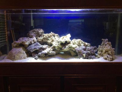 IMG_1697.jpg