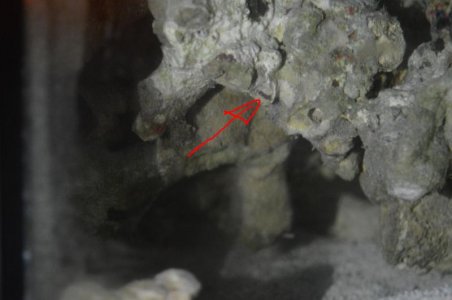 DSC_0205.jpg