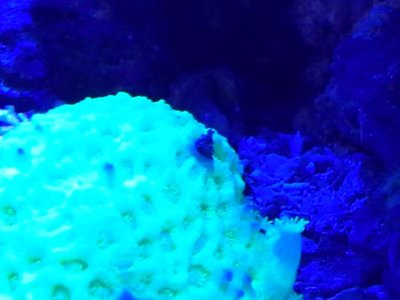 20150131_151523.jpg