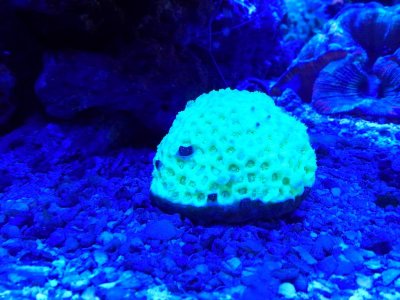20150131_151450.jpg