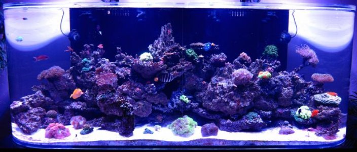 450 - 30 Jan 2015.jpg