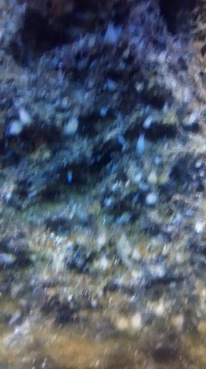 IMG_20150202_114246436.jpg