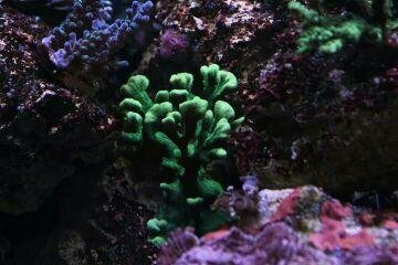 IMG_2254.JPG