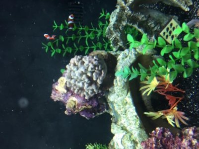 frag pic.jpg