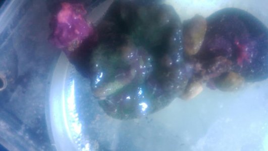 IMAG0915.jpg