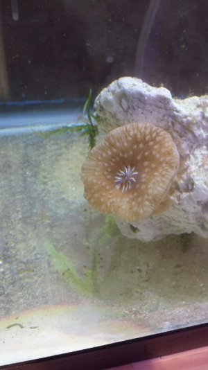 20150203_180237 (1).jpg