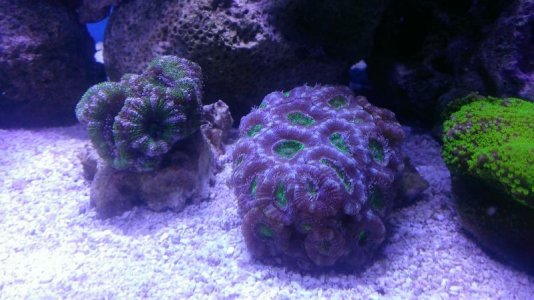 WP_20150127_002[1].jpg