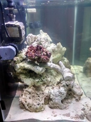 IMG_20150205_203238270_HDR[1].jpg