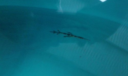 20150127_143201.jpg
