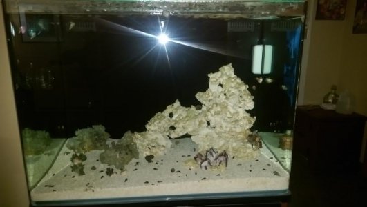 IMAG0516.jpg