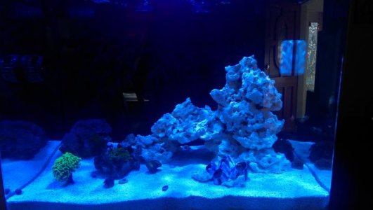 IMAG0454 (1).jpg