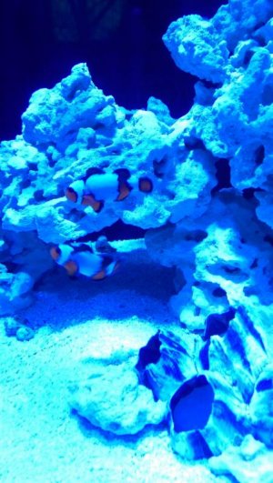 IMAG0446.jpg