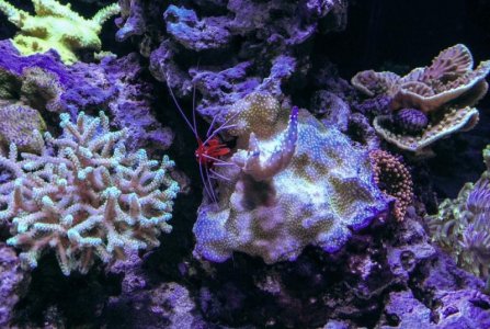 Screen Shot 2015-02-09 at 4.25.13 PM.jpg