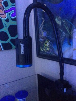 ImageUploadedByTapatalk1423519290.521709.jpg