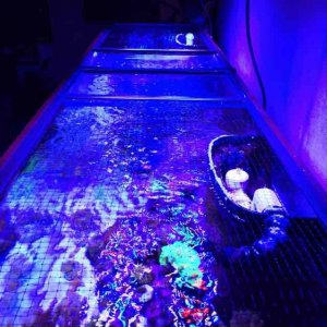 ImageUploadedByTapatalk1423583053.897283.jpg ImageUploadedByTapatalk1423583053.897283.jpg