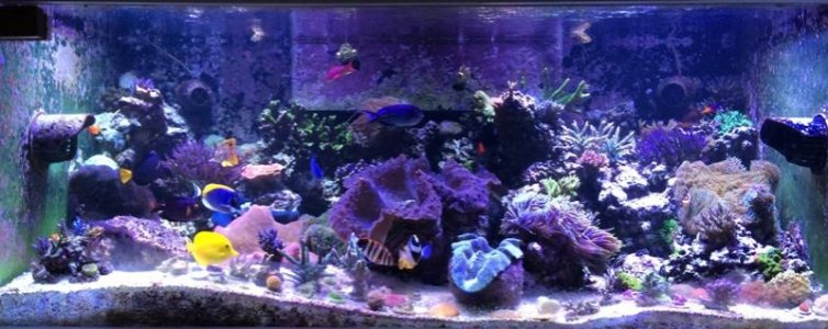 320gal2015021001.jpg