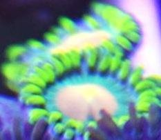 10978698_782491685170347_6177983429628654884_n.jpg