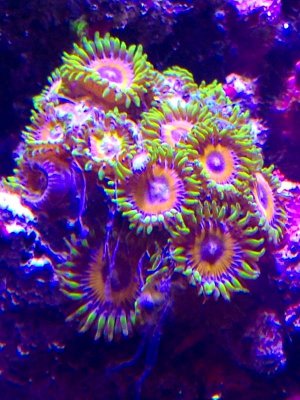 IMG_6701.jpg