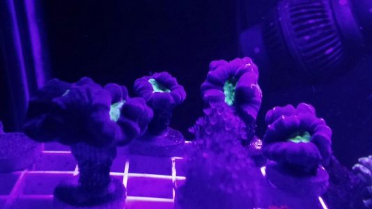0215151852.jpg