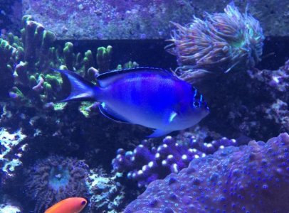 WatanabeFemale2015021601.jpg