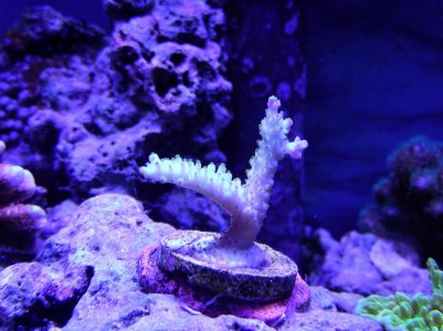 02-16-15 Nikon 002.jpg