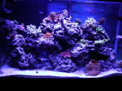 02-16-15 Nikon 021.jpg