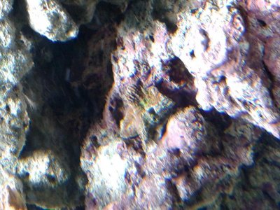 20150217_145429.jpg