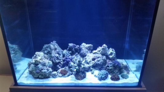 uploadfromtaptalk1424208541402.jpg uploadfromtaptalk1424208541402.jpg