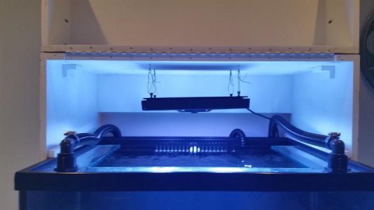 uploadfromtaptalk1424208560802.jpg uploadfromtaptalk1424208560802.jpg