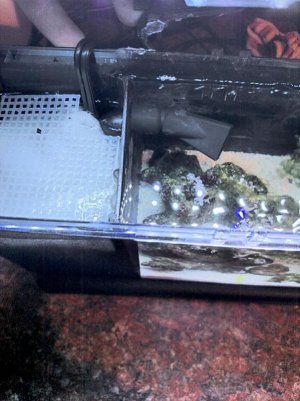 top view of tank.jpg