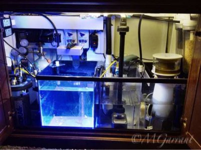 ImageUploadedByTapatalk1424274685.551258.jpg ImageUploadedByTapatalk1424274685.551258.jpg