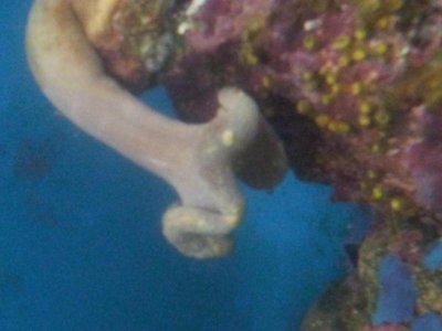 20150217_212304.jpg