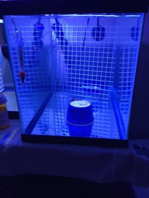 IMG_2827.JPG