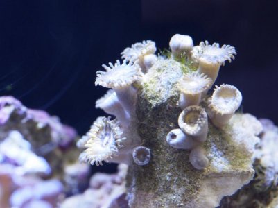 _2180678.jpg